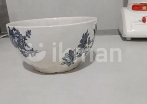 Antique Plate Vintage England Porcelain Set
